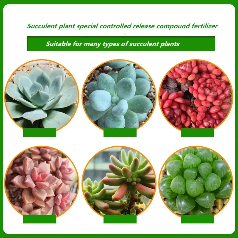 500 г гранулированное удобрение с медленным высвобождением суккулентное растение