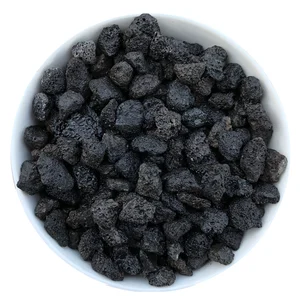 500 г выделенная суккулентная почва, посадочная глина, мощение средних растений, вулканические питательные камни, воздухопроницаемая глина в горшках, товары для бонсай