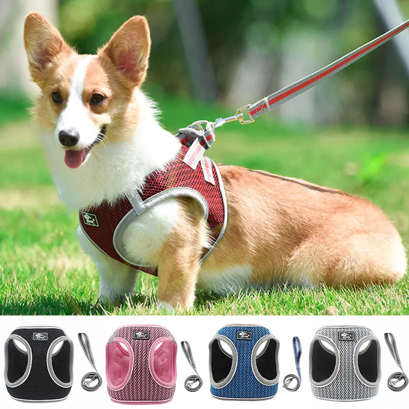 

Reflective Pet Dog Harness And Leash Set Cat Chain Breathable Chest Strap Pet Supplies Dog Collar For Chihuahua Frence Bulldog