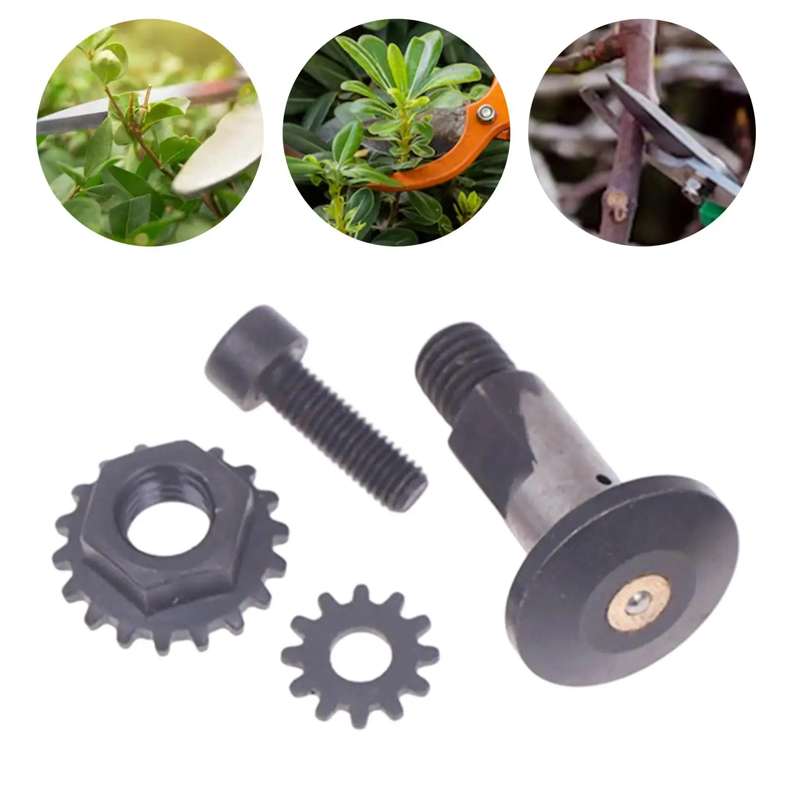 

Запасные винты для электрического секатора Perfeclan