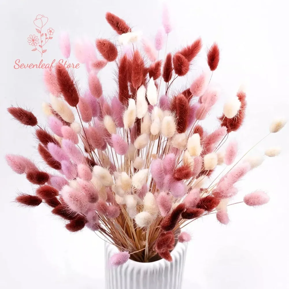 

Real Mix Natural Rabbit Bunny Tail Grass Dried Flower Bouquets Lagurus Ovatus Pampas for Wedding Party Boho Home Decoration