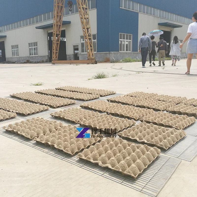 1000-3000 шт. новый дизайн машина для изготовления лотков яиц из бумажной целлюлозы