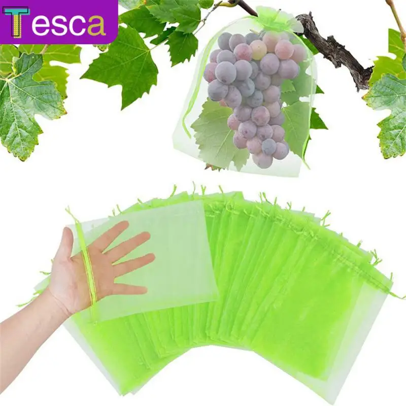

Fruit Insect Bag Fruit Planting Bag Fruit Protection Bag Bird-proof Drawstring Protection Bag Protective Bag Mesh Anti-bird Bag