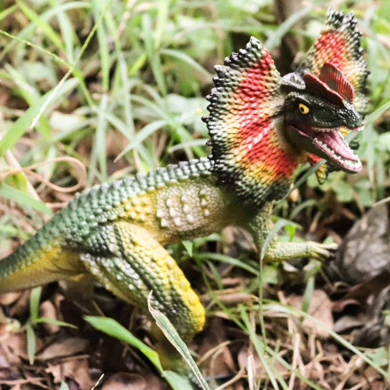 

Подвижные игрушки-Динозавры для детей 5-7 дюймов, пластиковые фигурки динозавров юрского периода, дилофозавра, Подарочная модель для мальчика, реалистичные животные