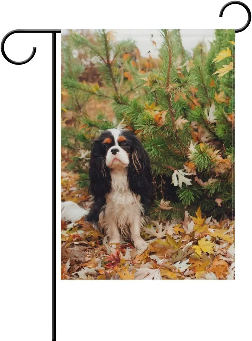 ALAZA Cavalier King Charles Spaniel фото собаки 12x18 дюймов двухсторонняя фотография