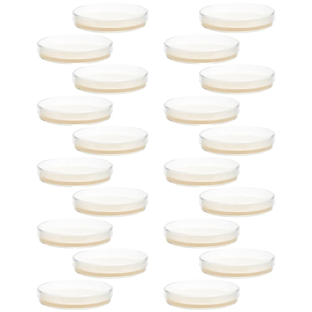 

20 Pcs Nutrient Agar Plate Plates Laboratory Prepoured Petri Dishes Finished Product Science Experiment
