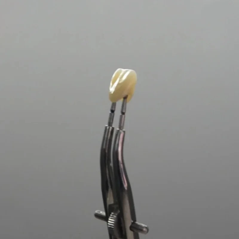 HaHasmile OM1 4D 95 мм многослойный Цирконий 6 слоев CAD CAM открытая система 43%-57%