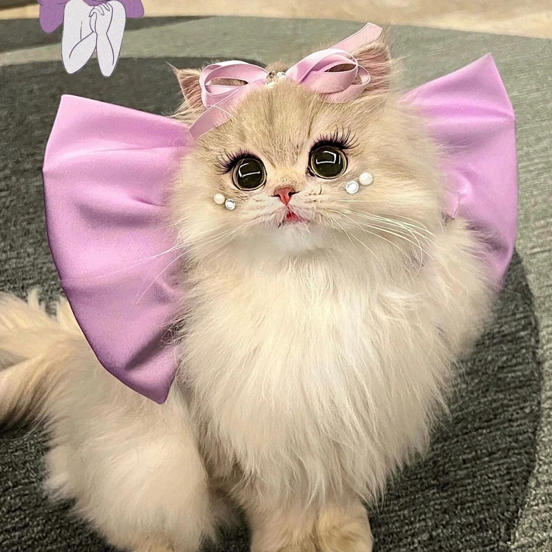 Женское кольцо для шеи с бантом том в виде кошки