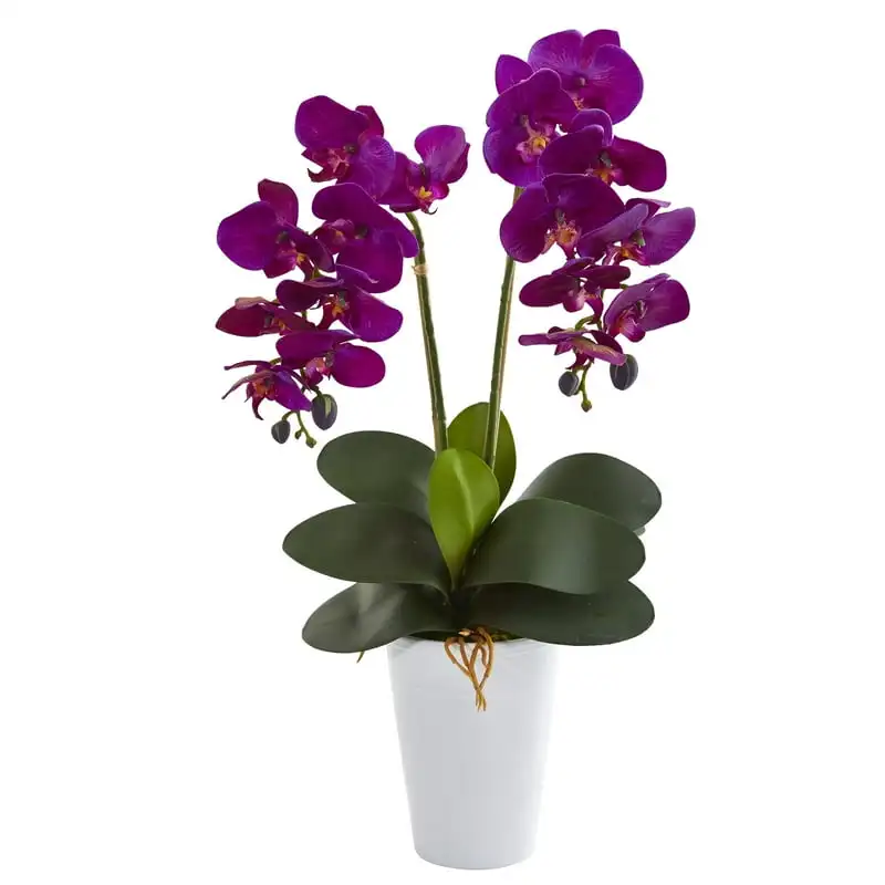 

Double Phalaenopsis Orchid Artificial Arrangement in Vase, Purple Flowers for weddding decoration Home decoration accessories Wh