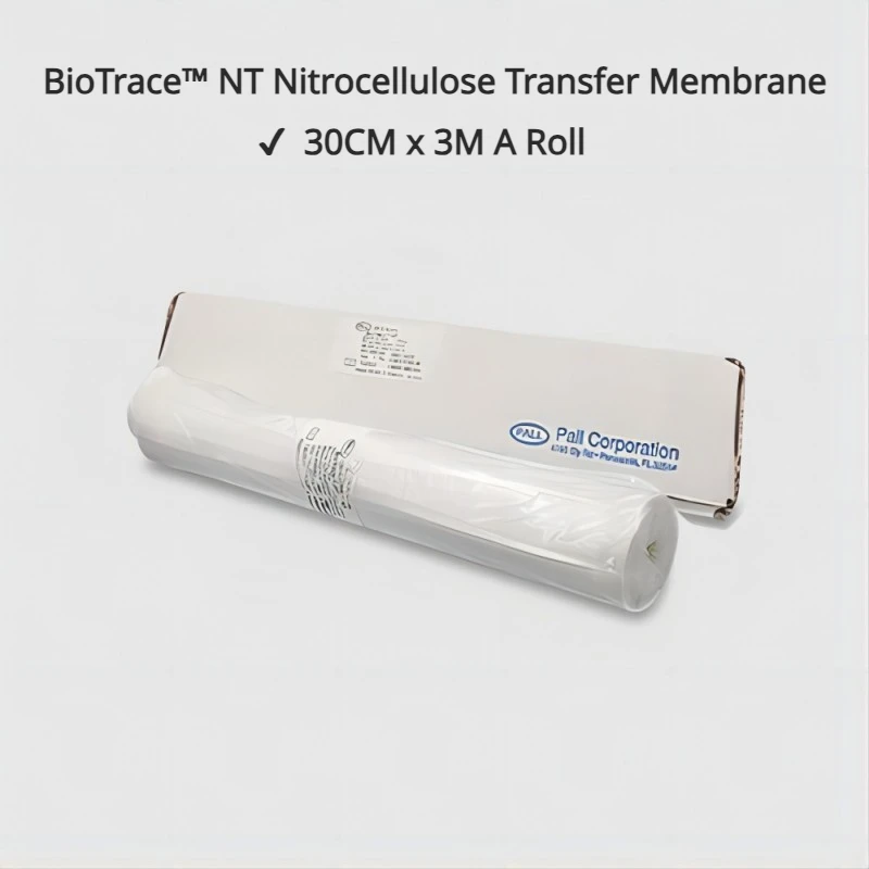 PALL 66485 0.2um NC мембрана bioостаток™Переносная мембрана нитроцеллюлоза NT, рулон 30 см x 3 м для лабораторного Промокания В Западном/точечном/слоте