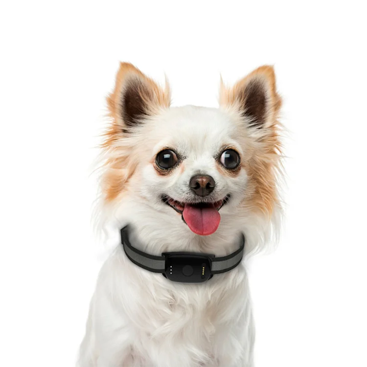 GPS-трекер Geo-fence для домашних животных с защитой от потери ошейником кошек умным