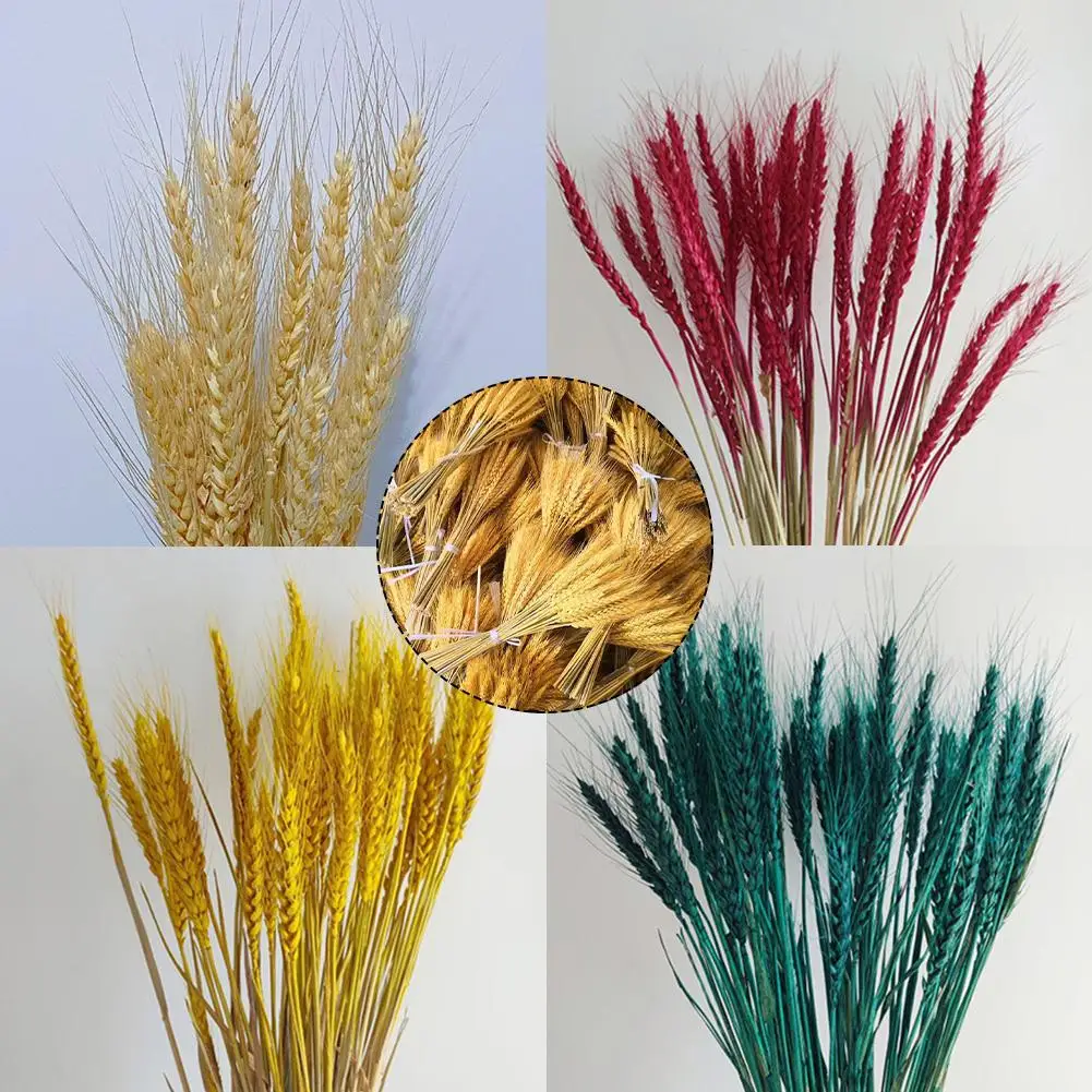 

30 Pack Dried Flowers Bulgur/Rye Bunch Wedding Flower Arrangement Natural Bouquet Dried Flower Party Home Decor 37cm