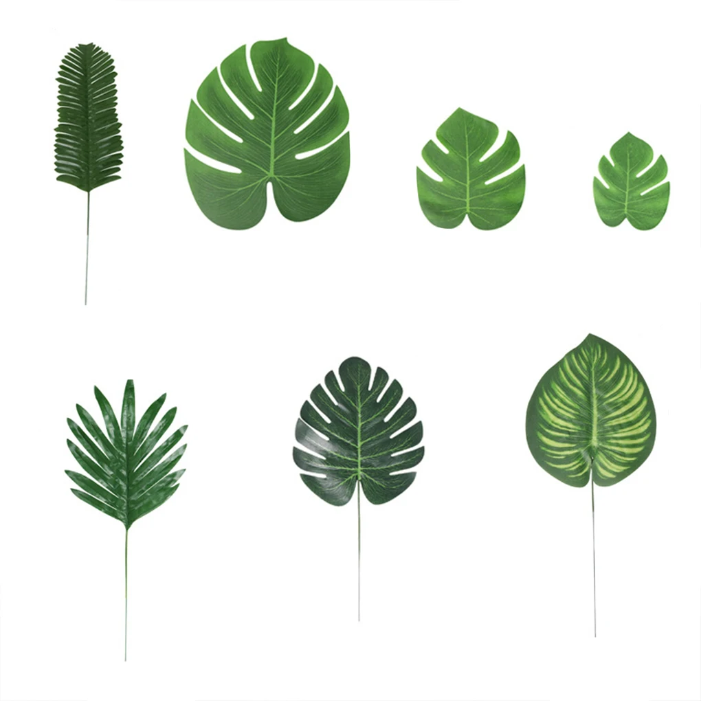 

Low Maintenance Tropical Trees Hassle-Free Indoor green Long-lasting Durability Easy To Clean Types Tropical Trees set