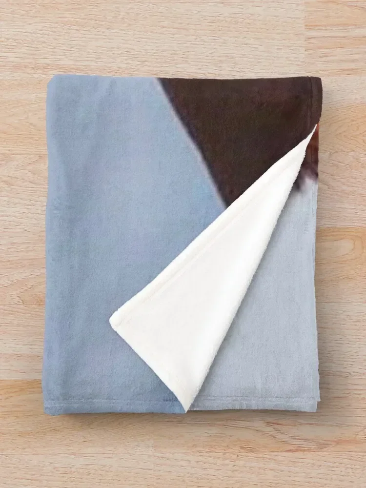 Луис Мигель пледы набивные одеяла диваны декоративные