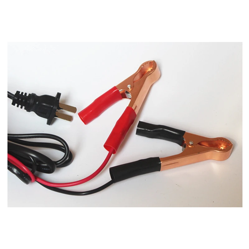 12 В 24 в полностью автоматическое интеллектуальное зарядное устройство 110 220