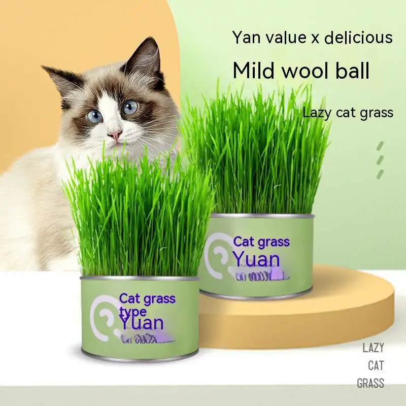 

Pet Catnip Digestion Pot, Cat Snack, Defur Ball, Cleaning, Pet Products Catnip Canned Potted Wheat Seeds for Instant Hydroponic