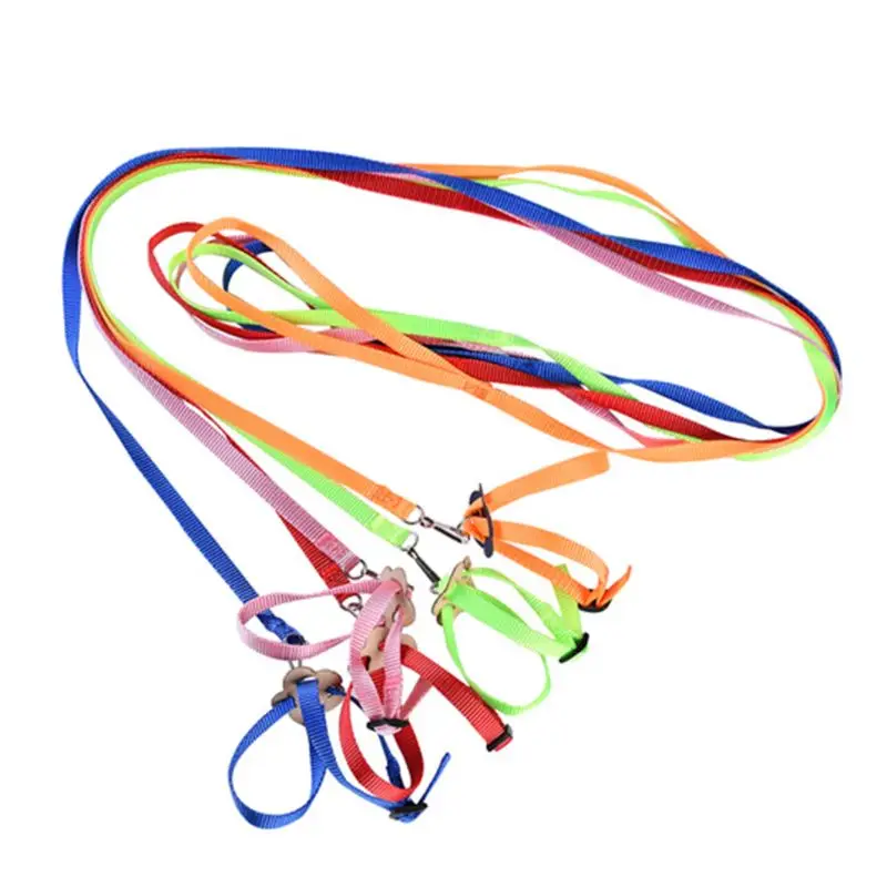 

Adjustable Bird Harness 3.94 Ft Long Leash Kit Outdoor Flying Training Rope for Bird Parrots Bright Color 8-Shape Straps