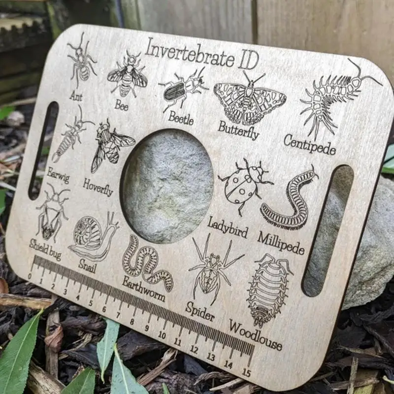 Линейка для идентификации животных обучающая научная линейка уличный
