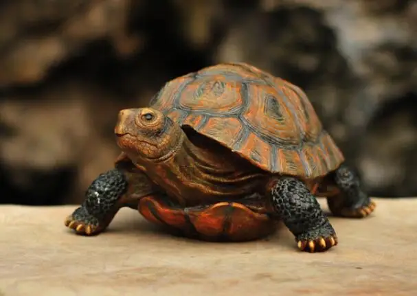 

Animal tortoises a villa garden ornamental pond garden ornamental pond garden resin statua Arts