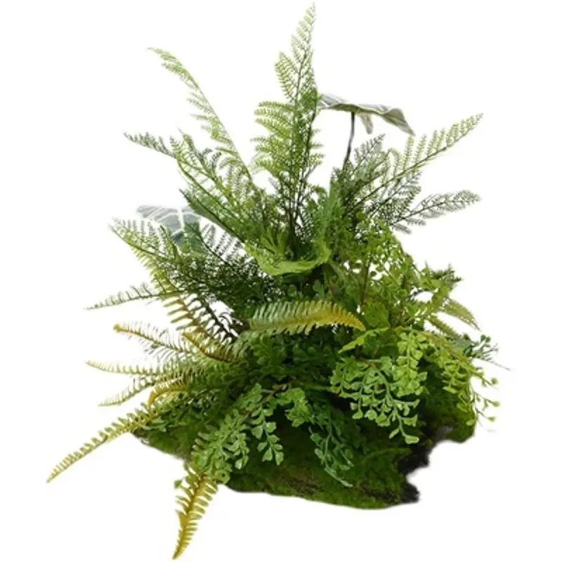 

Hotel Restaurant Setting Wall Simulation Fern Plants Grass Green Plant