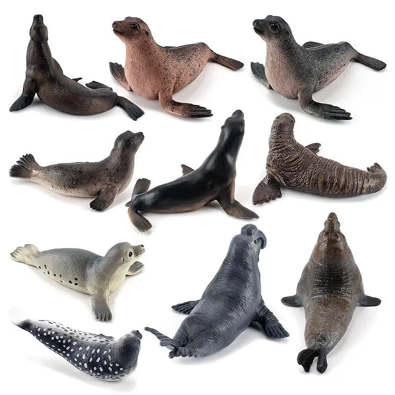 

Simulation Marine Animal Model Ornaments Lifelike Seal Sea Lion Action Figure Educational Toy For Kids Gift