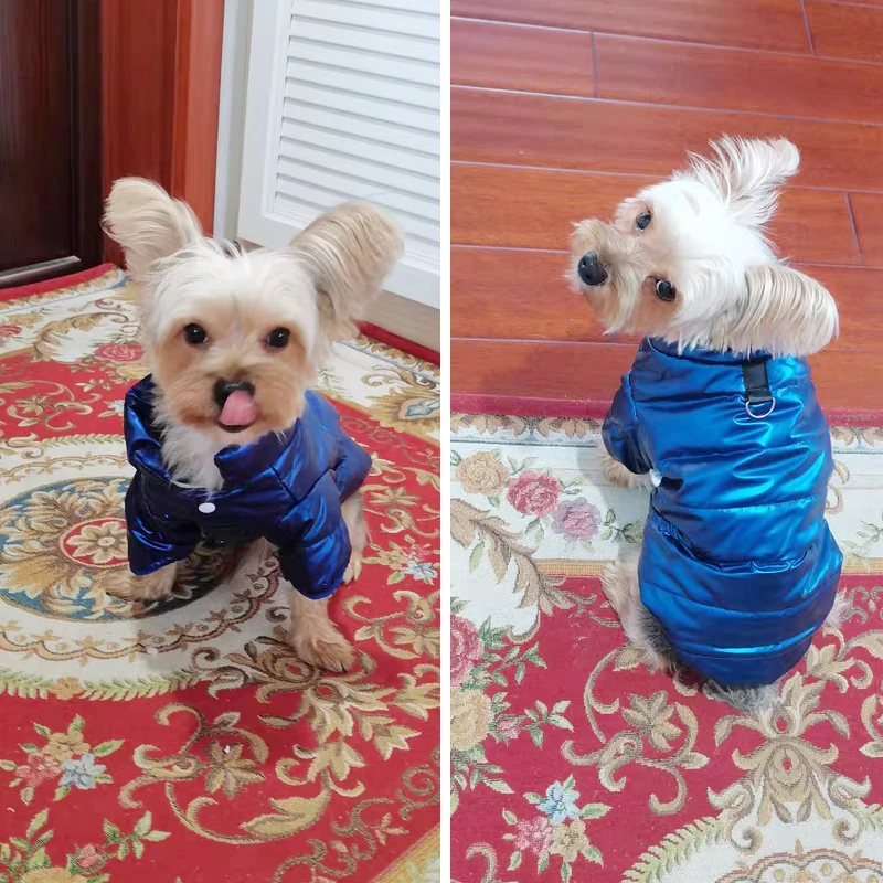 

2022 Spring Dog Coat Jacket Small XS For Pomeranian Bichon Poodle Schnauzer Puppy Cat Dog Clothes Pet Clothing Chihuahua Outfit