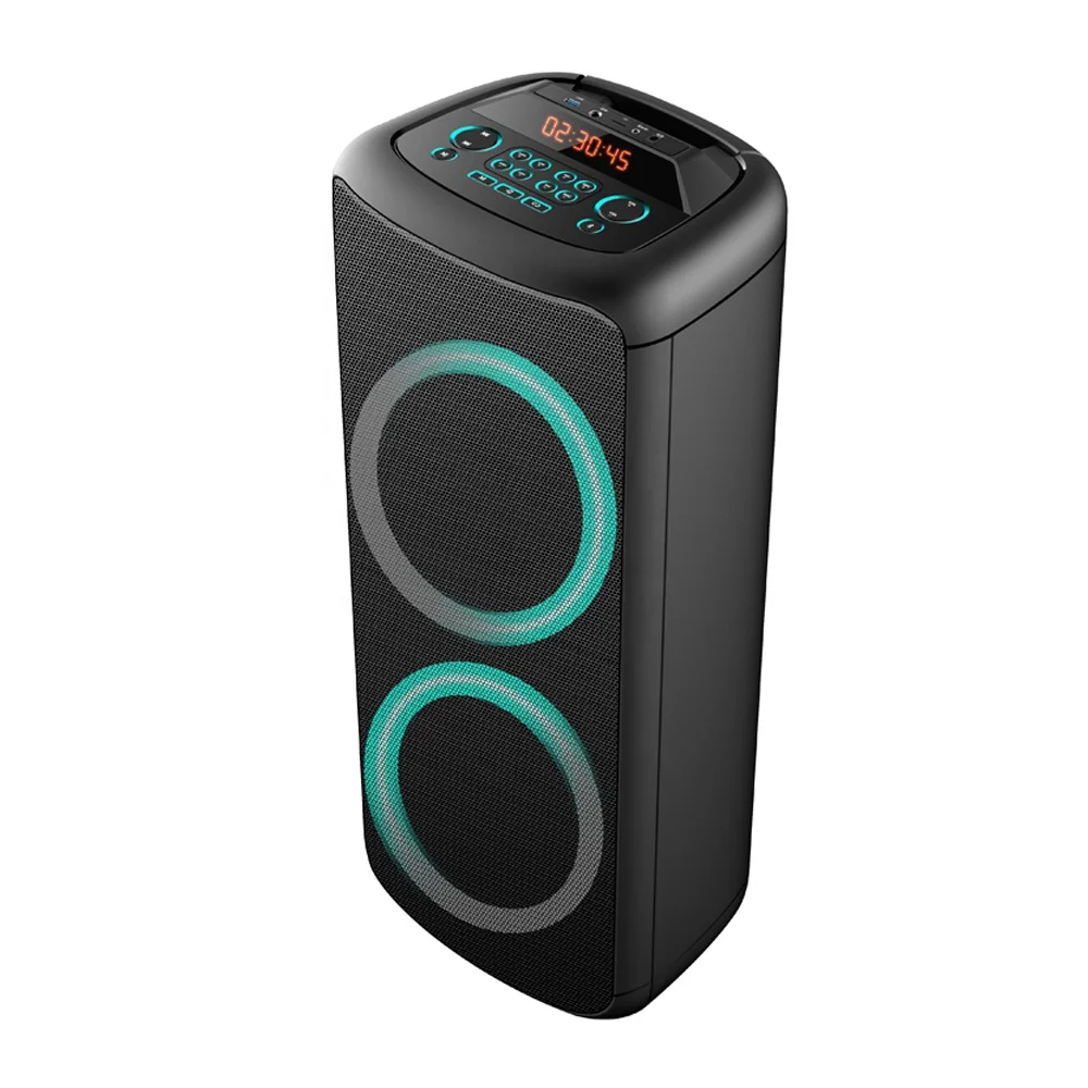 Двойная 10-дюймовая караоке вечерние вечеринка перезаряжаемая портативная