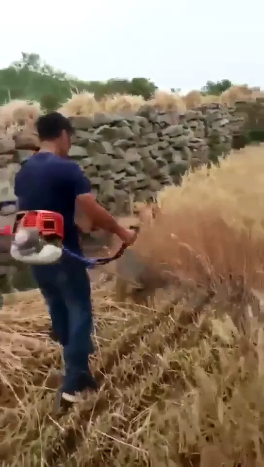 

Multifunctional knapsack grass Brush Cutter Trimmers