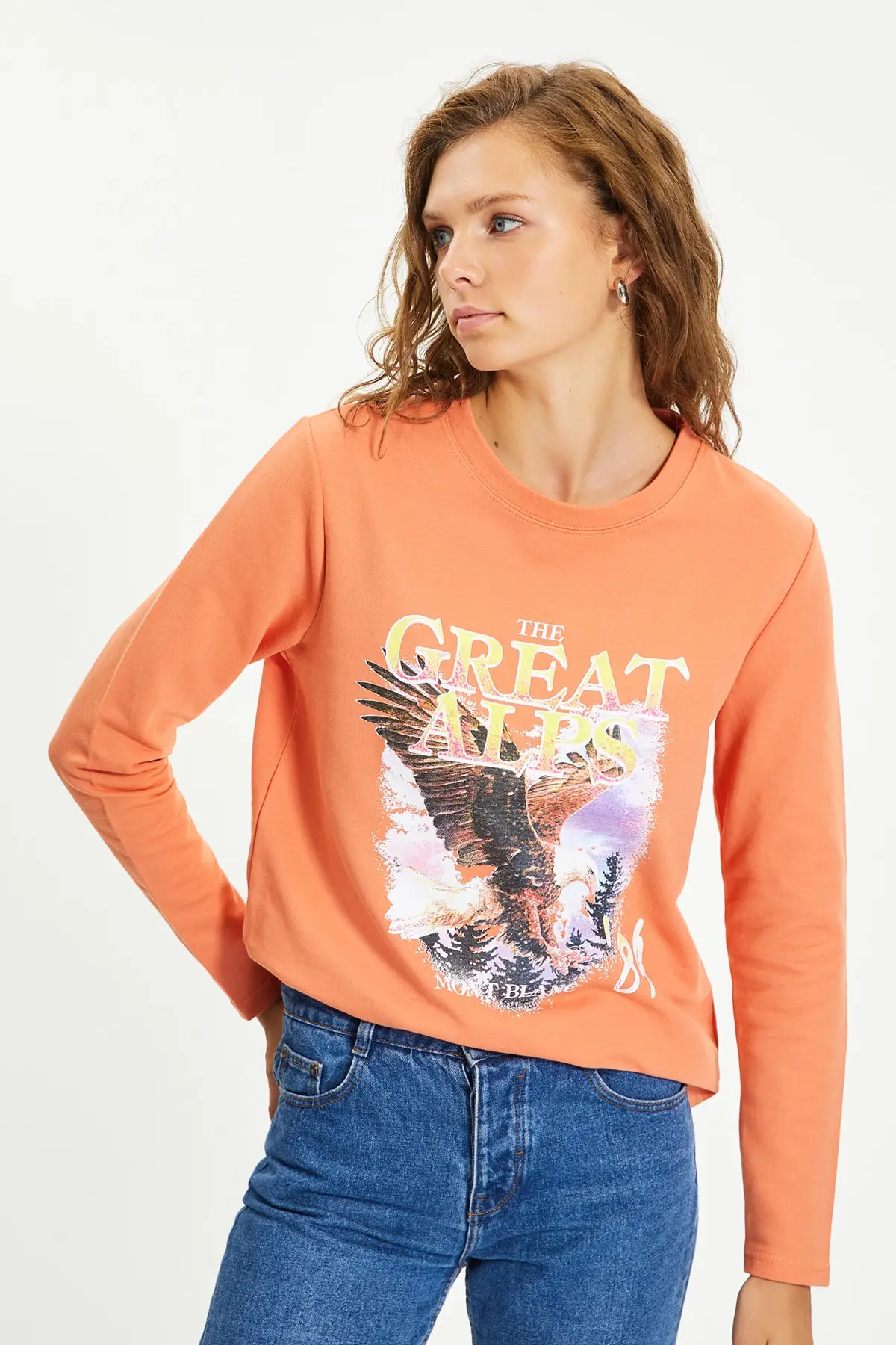 

Orange Printed Basic Knitted Slim Sweatshirt Christmas gift