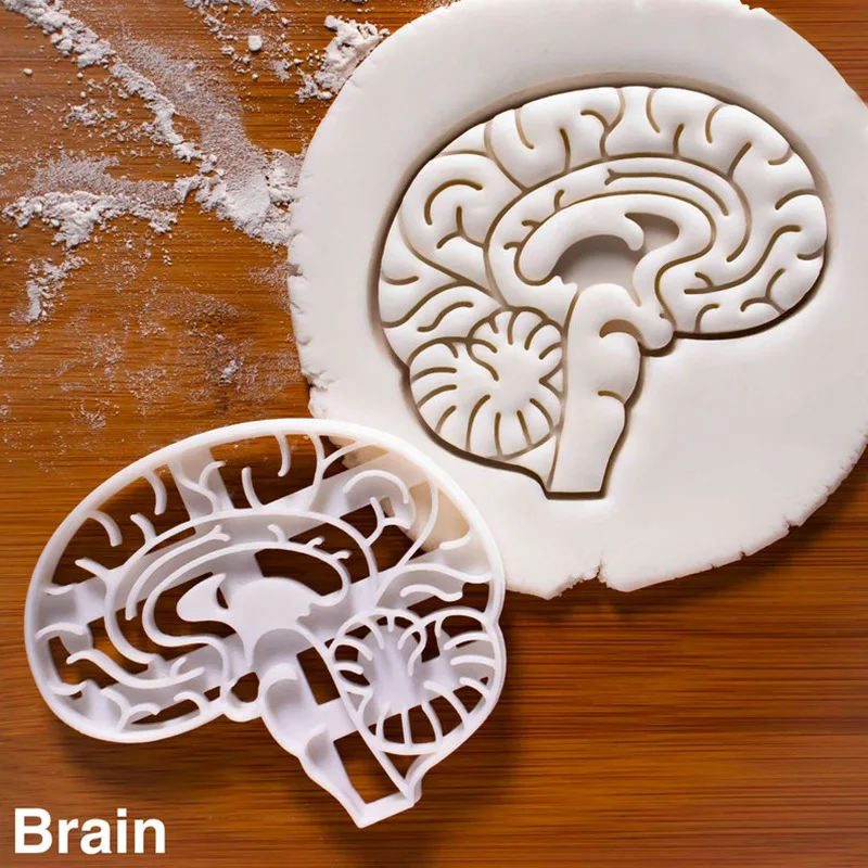 

Brain Heart Cookie Embossed Mold Fondant Cookie Cutter Human Organs Biscuit Mold DIY Baking Tools Cookie Press Stamp Mold