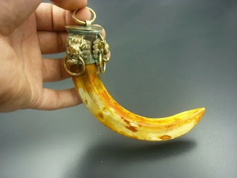 

Antique Chinese Old Ancient Minority Pig Tooth Pendant