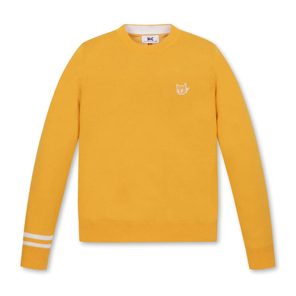 Бренд Charm женский теплый вязаный свитер модный дизайн осенний топ для гольфа