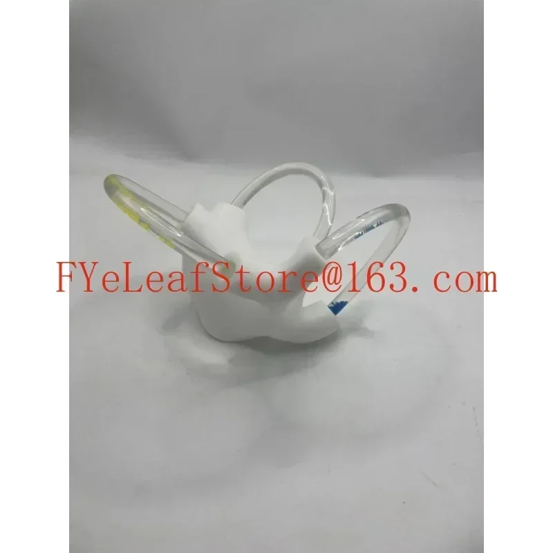 forsemic Круглая анатомическая модель отолитного канала Скелетная кохлеарная