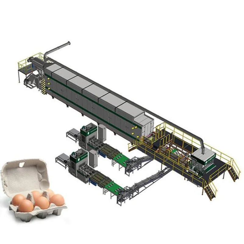 

Egg Tray Production Line Making Machine for Small Business Waste Paper Recycling Automatic Egg Tray Machine Price