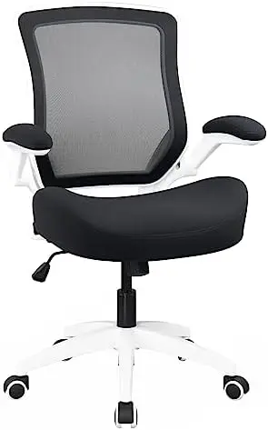 

Office Computer Desk Mesh Chair with Soft Cushion,Adjustable Height,Flip-up Armrest &Waist Support Function Swivel 360°for