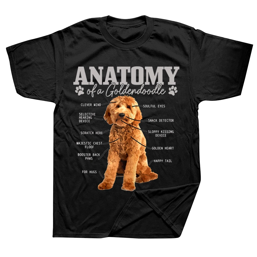 

Anatomy Of A Goldendoodle Funny Cute Dog Doodle Mom Dad T Shirts Streetwear Short Sleeve Birthday Gifts Summer Style T-shirt