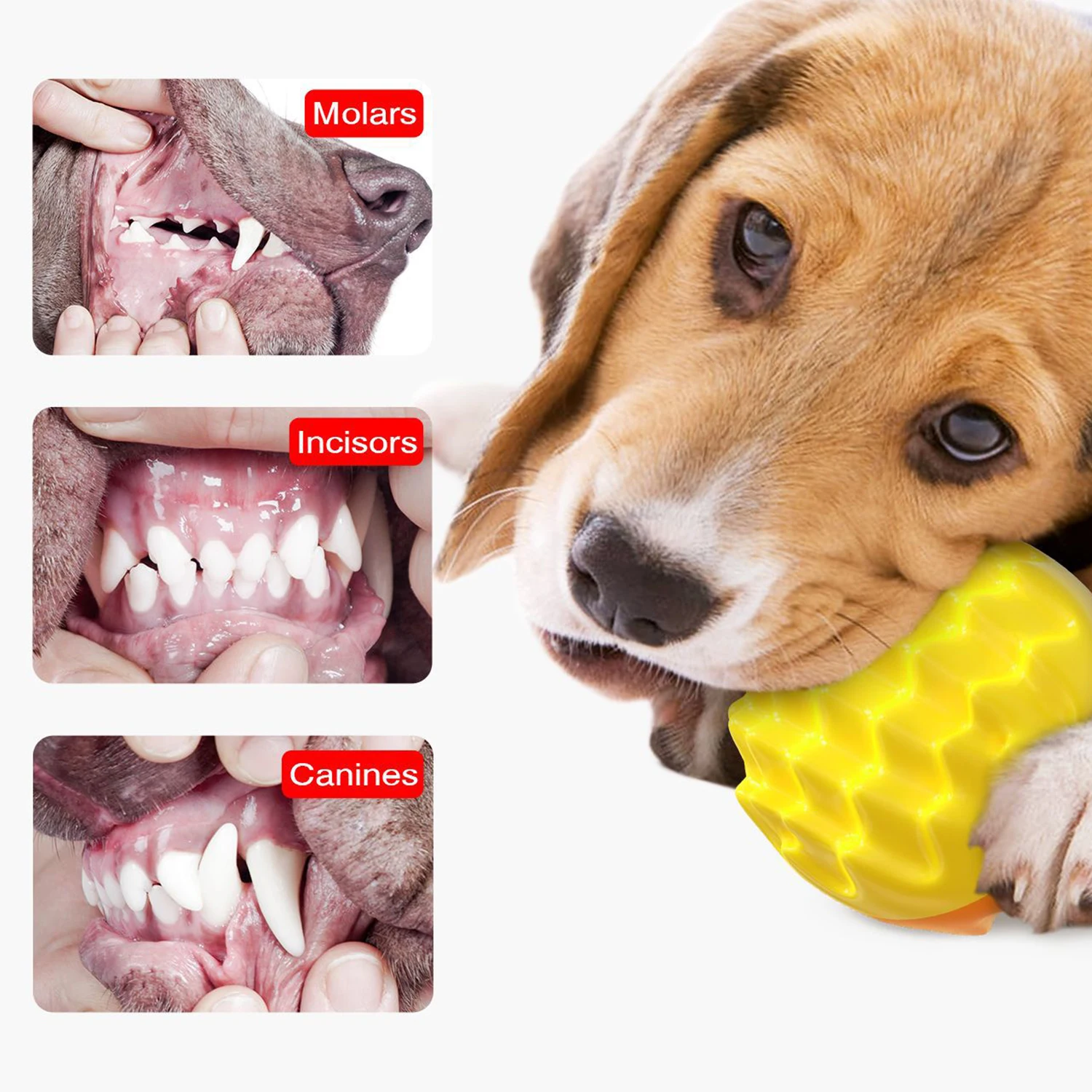 Игрушечный мяч для питомца Жевательные Зубы кошек и собак чистые зубы выпуклая