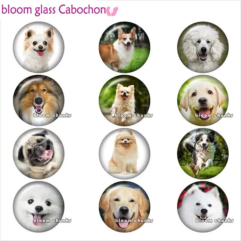 Круглое ожерелье для фото животного счастливая собака кабошон демонстрация