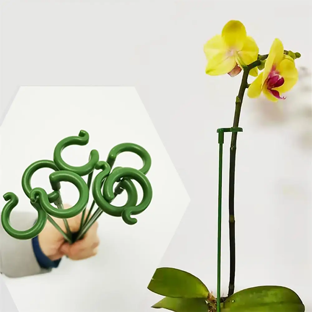 

15pcs Rods 10pcs Buckle Garden Bonsai Support Stake Stander Single Stem Shrub Holder Flower Potted Support Rod