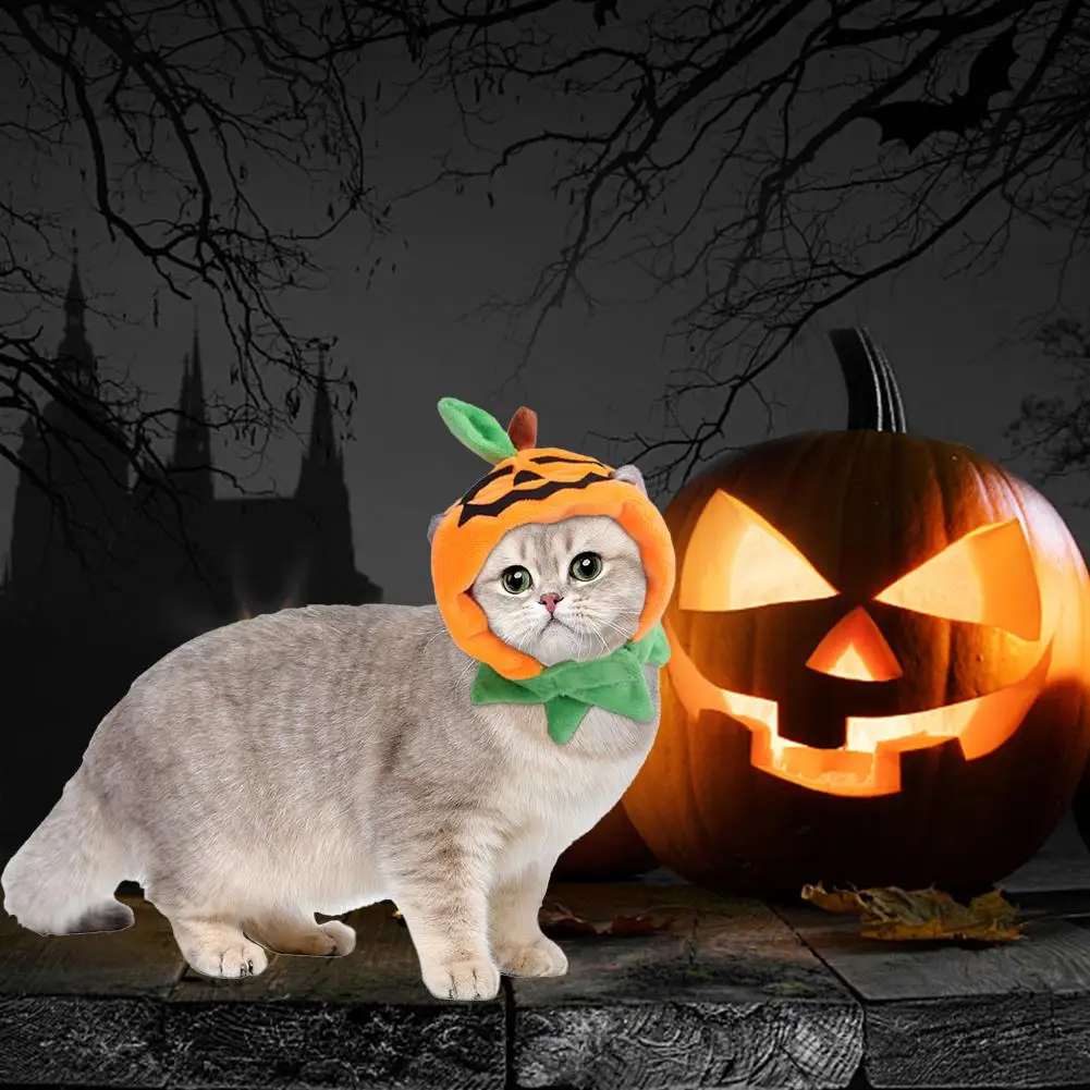

Плюшевая шапка для домашних животных в форме тыквы, волшебные наклейки, головной убор для кошки, товары для домашних животных на Хэллоуин, к...