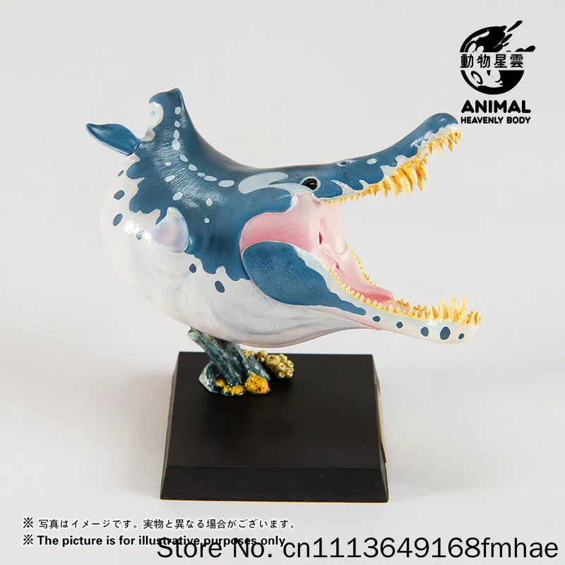 Фото Модель бюста мозазавра Animal Heavenly Body, серия «Палеонтология доисторических морских рептилий», пятая серия, для взрослых коллекционеров, подарок №4