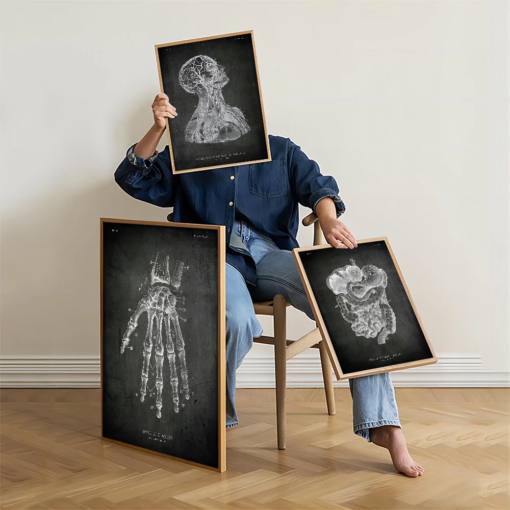 Анатомический скелет классная доска рисунок сделай сам липкий постер белая