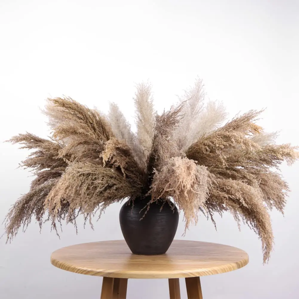 

30pcs Dried Pampas Grass Bouquet,Fluffy Pampas Dry Plants for Boho Theme Home Decor,Wedding,Floral Arrangement Table Centerpiece