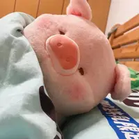 Плюшевая свинка#3