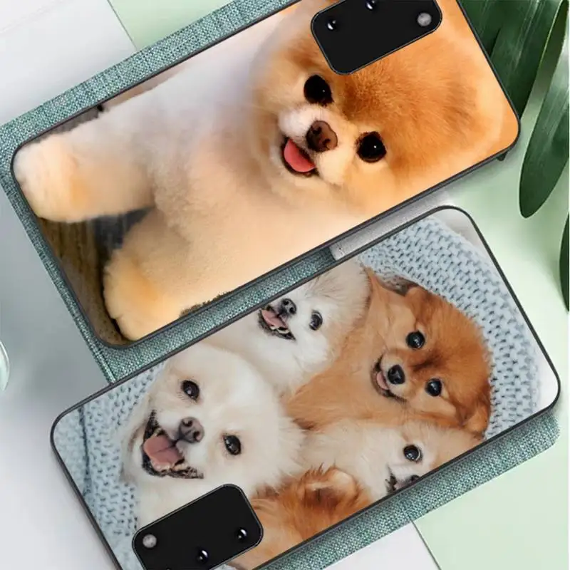 

Pomeranian dogs Phone Case for Samsung S10 21 20 9 8 plus lite S20 UlTRA 7edge