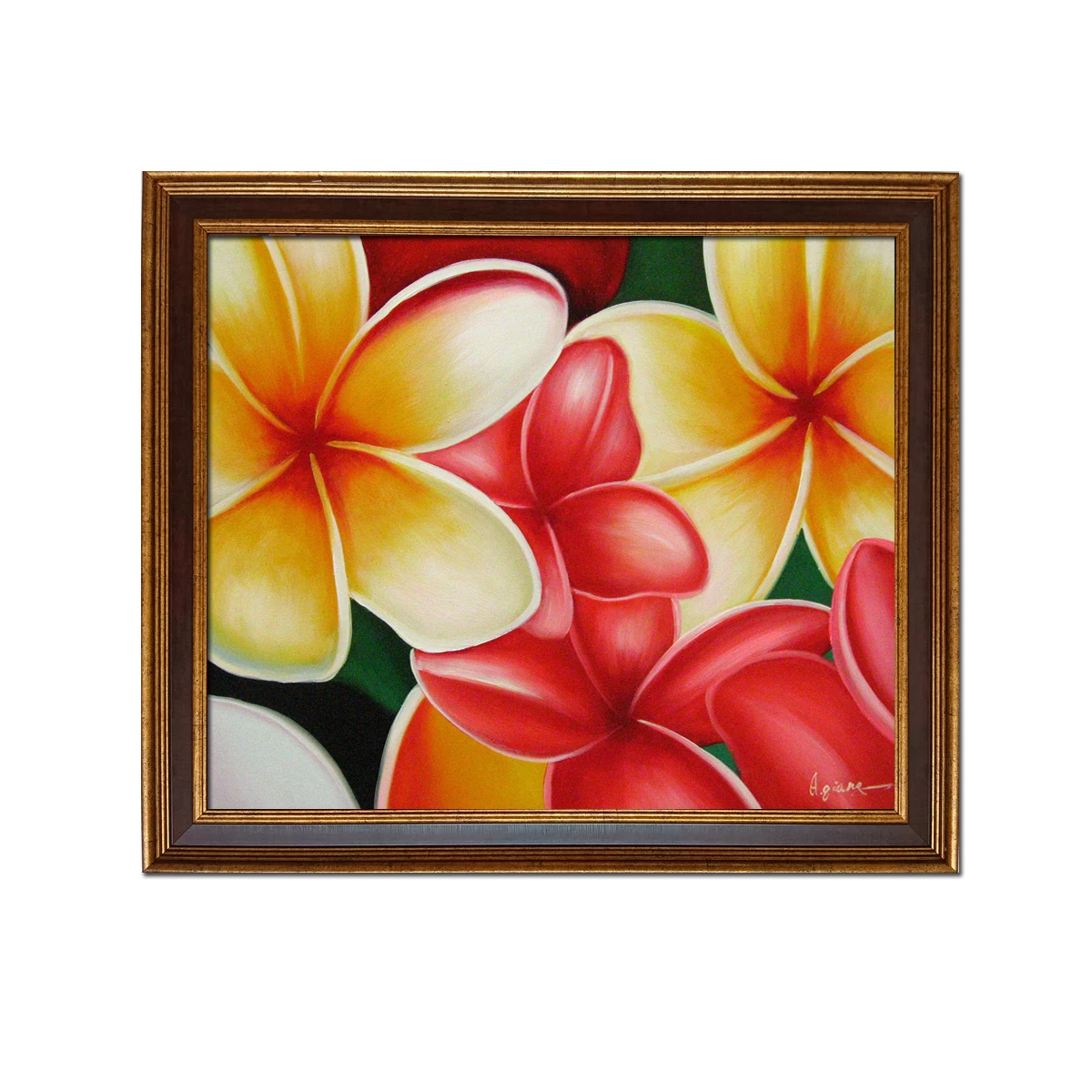 

Golden Framed-Still life Frangipani Flowers Hand Painted Oil Painting Reproduction on Canvas Wall Art Modern Decor