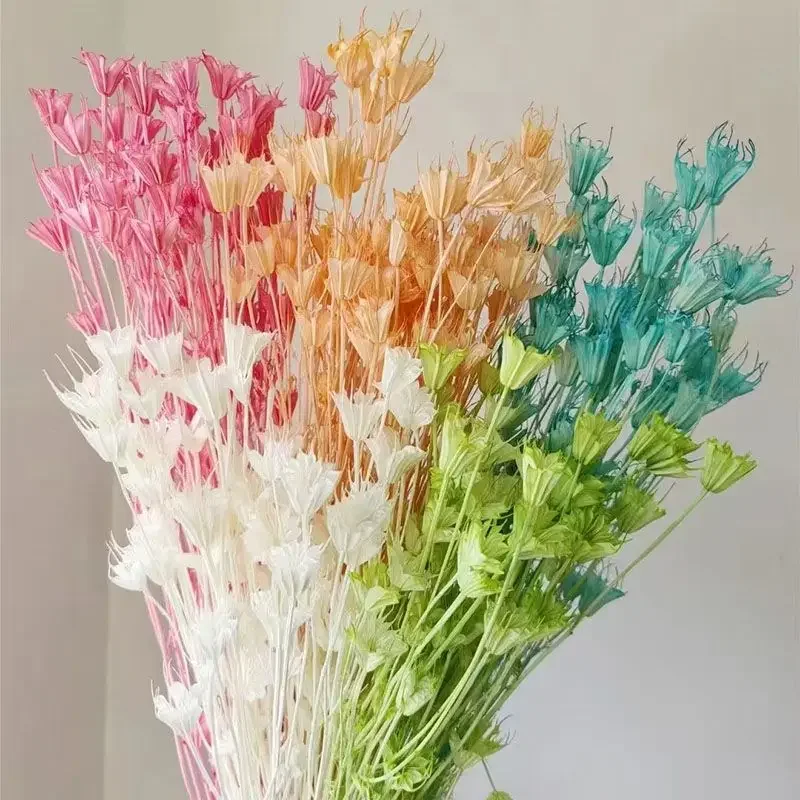 Очаровательный цветок аниса. Натуральные сушеные цветы: идеально подходят для