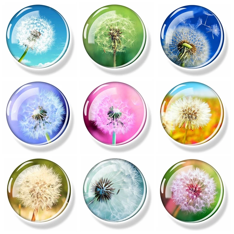 

ZYLTD Nature Flower Fridge Magnets Fashion Multi Color Dandelion Magnet Sticker 30MM Creative Home Decor Refrigerator Decoration