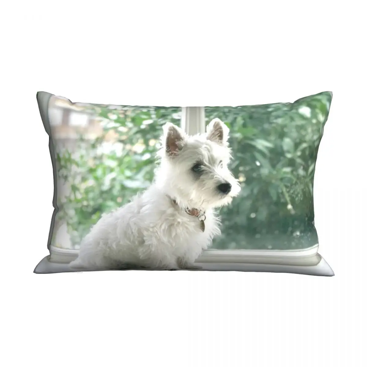 

Мягкая Наволочка для подушки с изображением собаки животного собаки