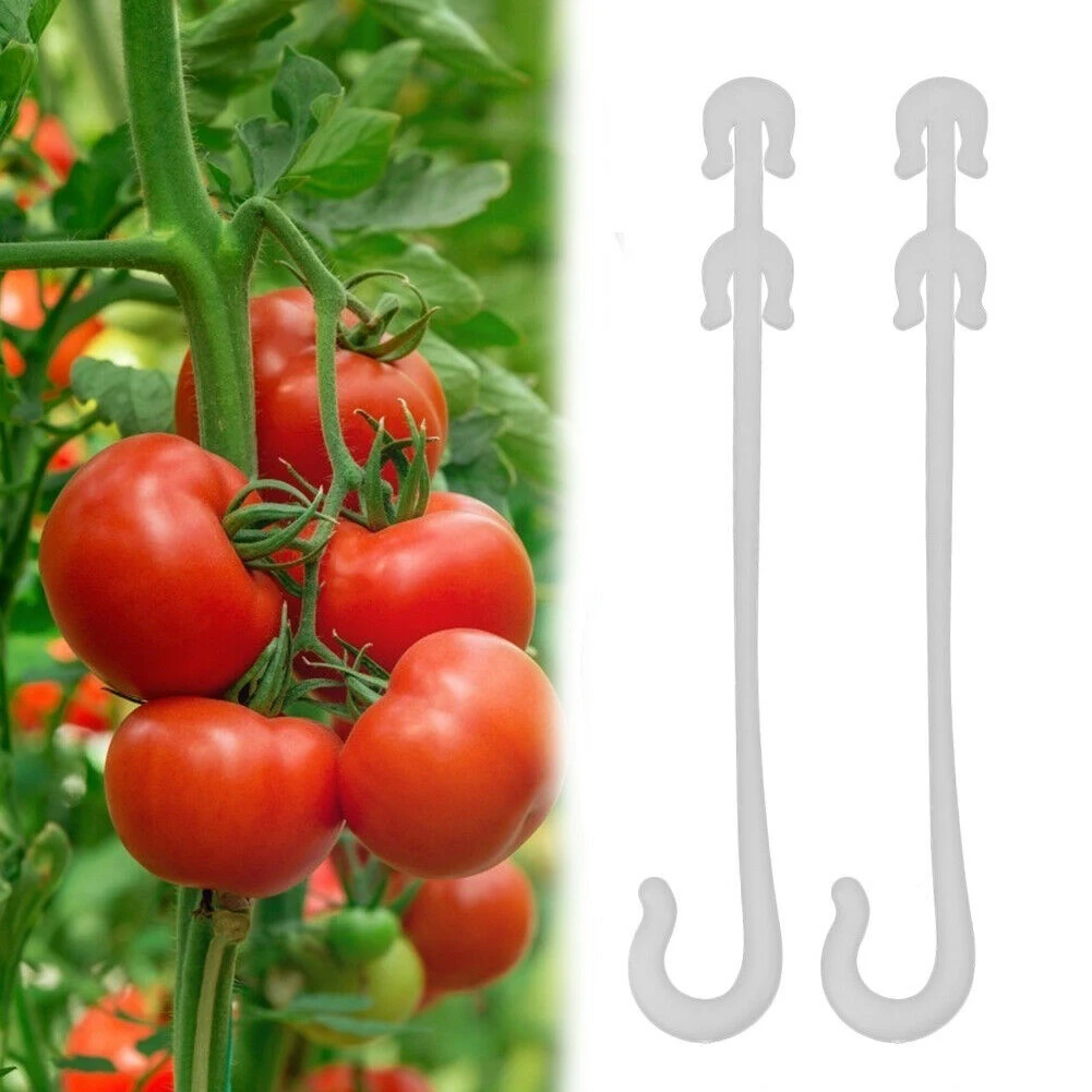 

100pcs J Shaped Fruit Cherry Tomato Ear Hook Garden Vegetable Plant Grape Support Vines Fastener Clips Trellis Fixed Buckle Hook